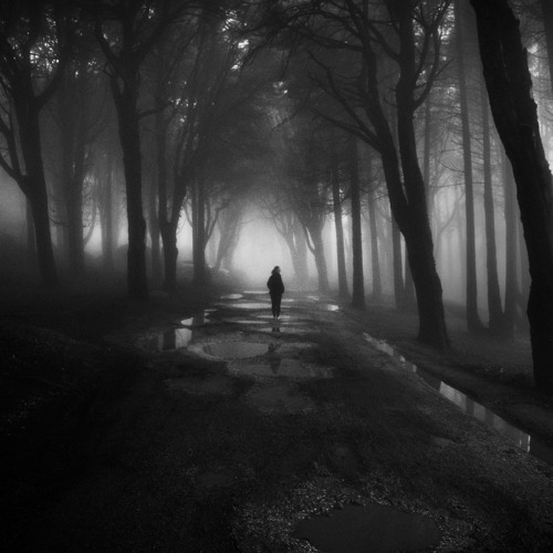 Kite seven_Darkness in the world