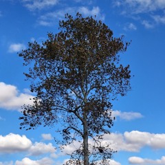 I Saved This Joint For Us