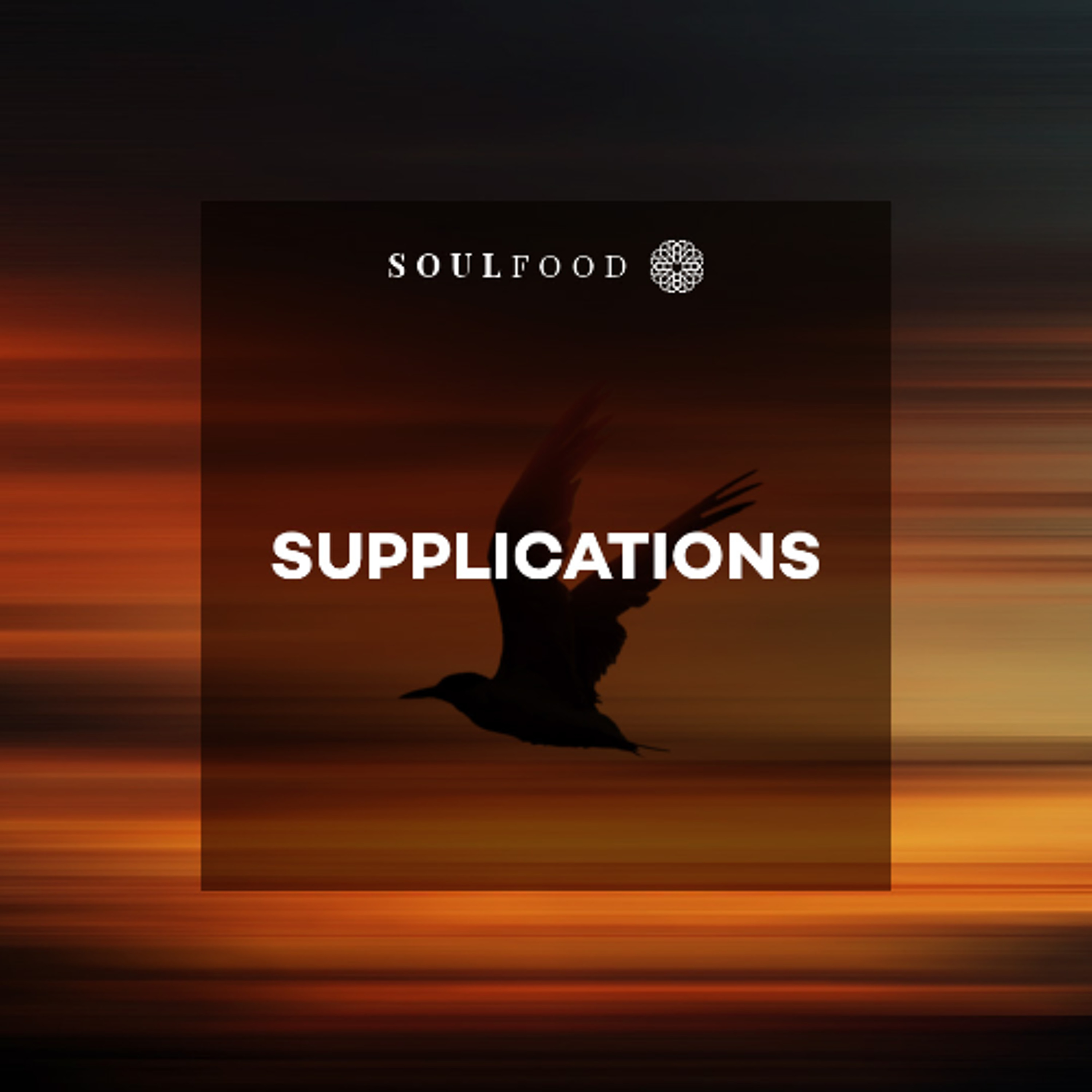 Episode 10.14 - Supplications