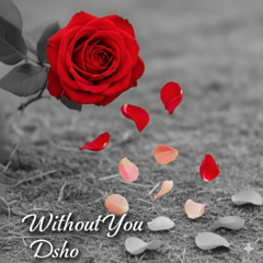 Without You