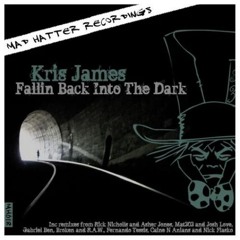 Falling Back Into The Dark (Gabriel Ben Remix)