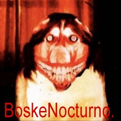 COLOR -BOSKENOCTURNO.(mixtape)
