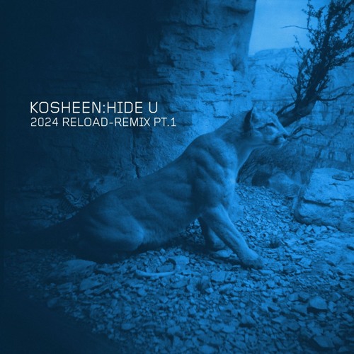Kosheen 'Hide U' (Mozey Jungle Remix) [Moksha Recordings]