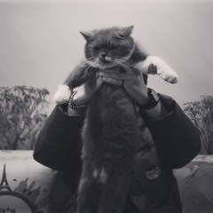 Bao Nhiêu Loài Hoa - KayC, tlinh (Frenless remix)