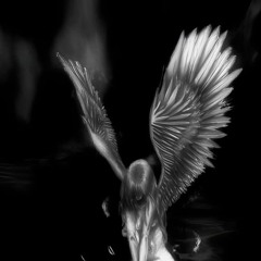 дисс на каргу2кк и нью старуху