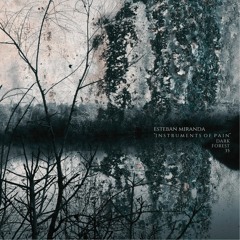 AN PREMIERE 050 | Esteban Miranda - Vibration. [DarkForest]
