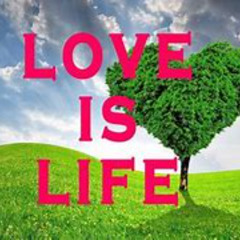 THE PATH OF LOVE (PATH 13)