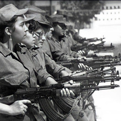 مجد - دروشة .