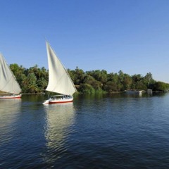 Stranger In The Nile
