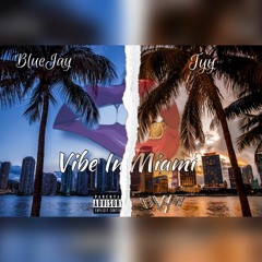 Vibe In Miami ft Tyy