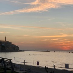 א.נשים ומקומות | בין השמשות ובין הפגנות | אבישג אליאב