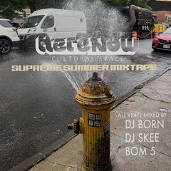 HereNow Summer Mix by DJ Skee