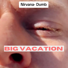 Nirvana ‘Dumb’- Big Vacation cover