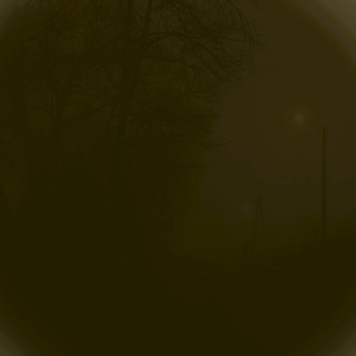 All alone on a foggy November night