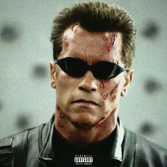 Schwarzenegger Vibe