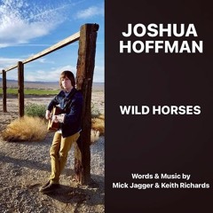 Wild Horses