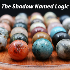 The Shadow Named Logic