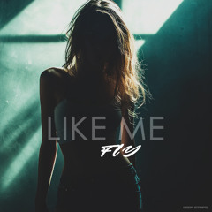 Fly - Like Me