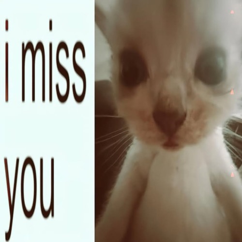 เด็ดสุดใน รร Ft.Keemee, Gorguy, BabyZone