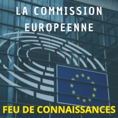 La Commission Européenne