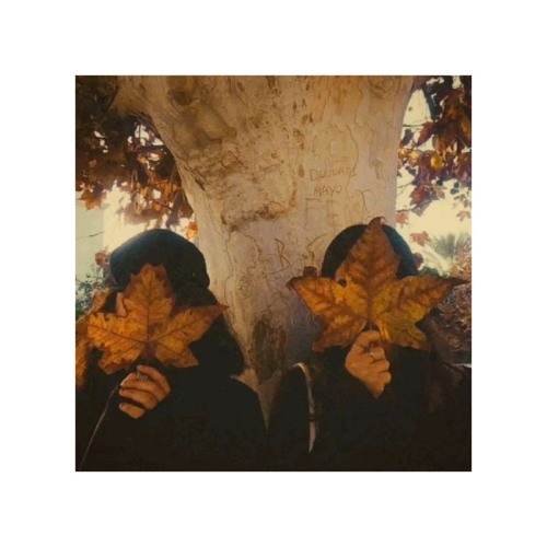 all that i need (prod.w.falls)