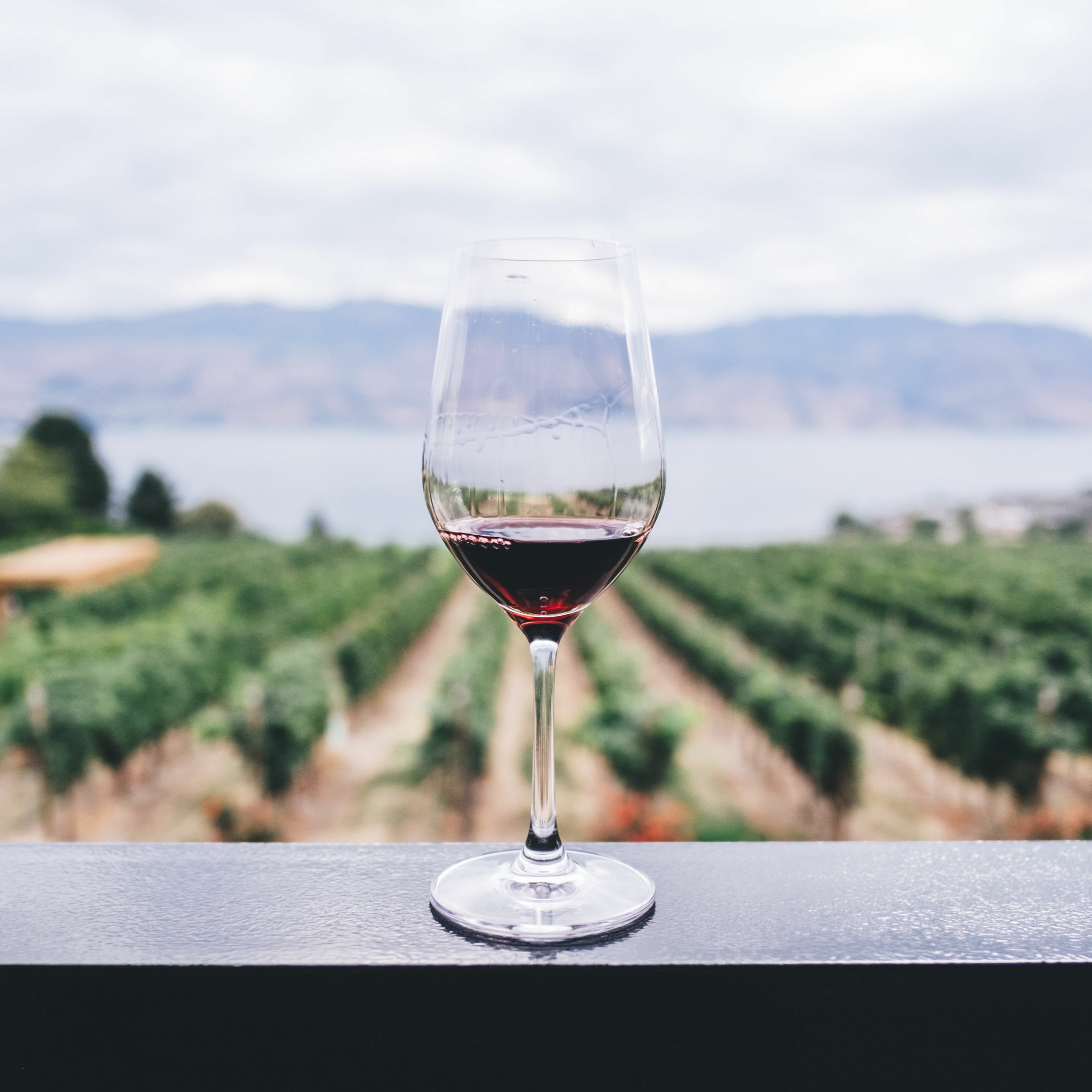 Sunday 24 September 2023// Water to Wine episode artwork