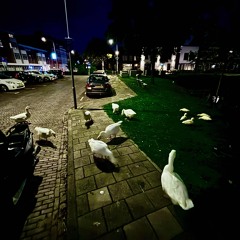 weird house 0.0.3 wip