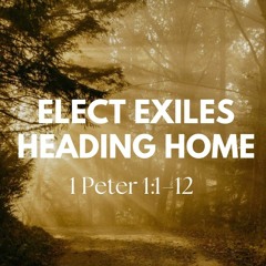 Elect Exiles Heading Home (1 Peter 1:1-12)
