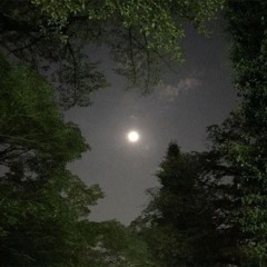 who is he? (freestyle)