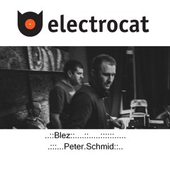 Electrocat - Peter Schmid & Blez 23.05.2022.
