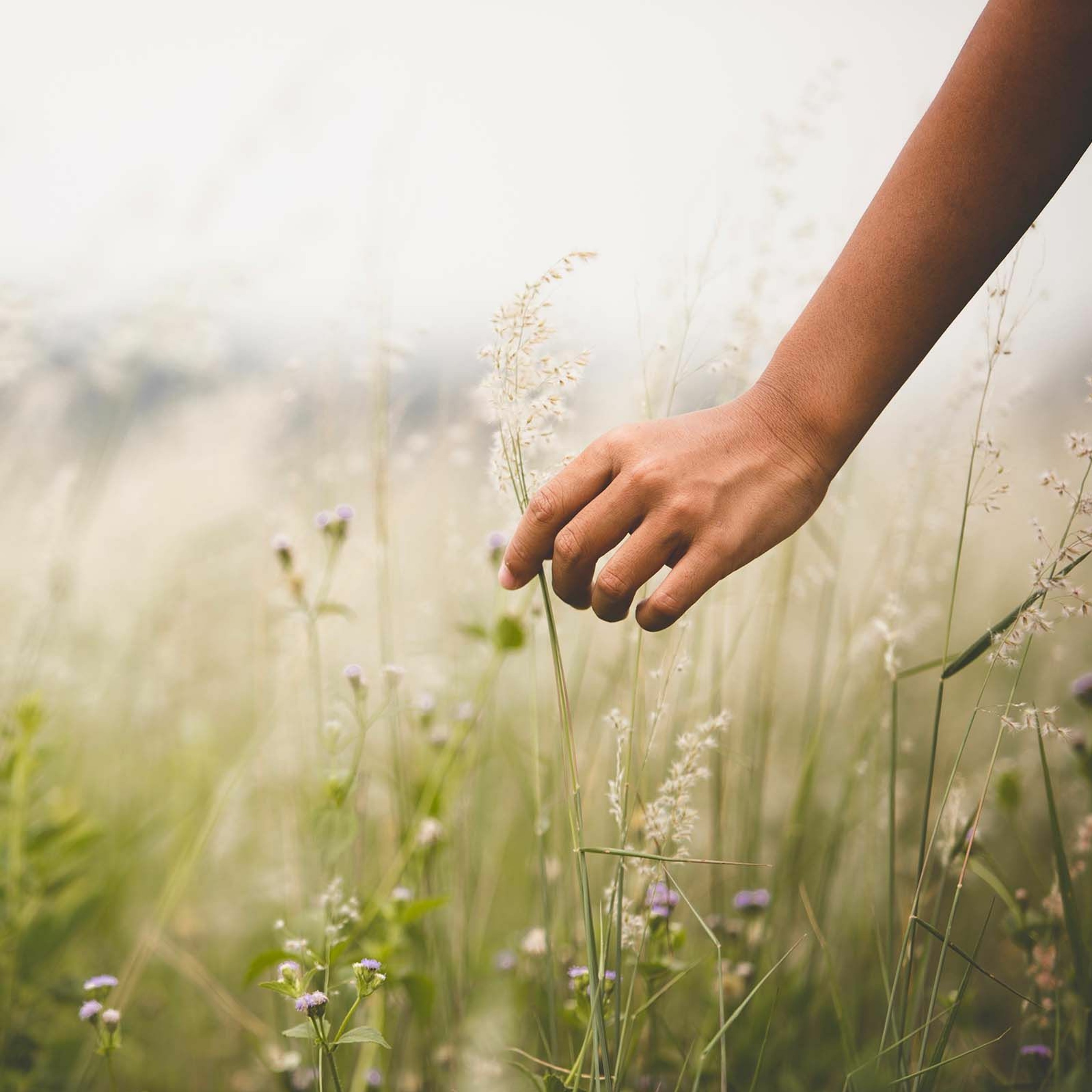 Associazione Kalyanamitta: Meditazione, Mindfulness, Buddhismo
