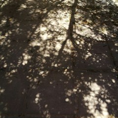 fading existence w/ coley