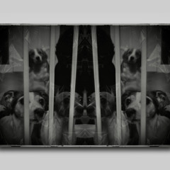 DOGGO's (Demo)
