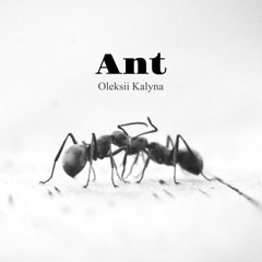 Ant