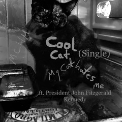 Cool Cat (Knowledge & Ignorance) - Single