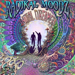 Radikal Moodz - Initial Dreamers | Out Now @ Looney Moon Records