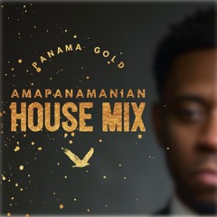 Amapiano House TSJK Mix