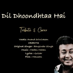 Dil Dhoondta Hai - Cover & Tribute