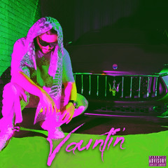 Vauntin (prod nabi00) *music video in description*