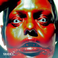 MODÜL. VA 002 [MODVA002] (Previews)