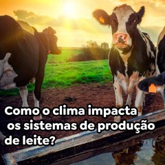 Como o clima impacta os sistemas de produção de leite?