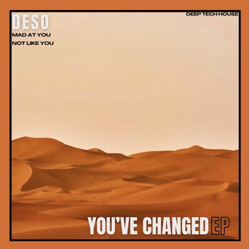 Not Like You - DESO