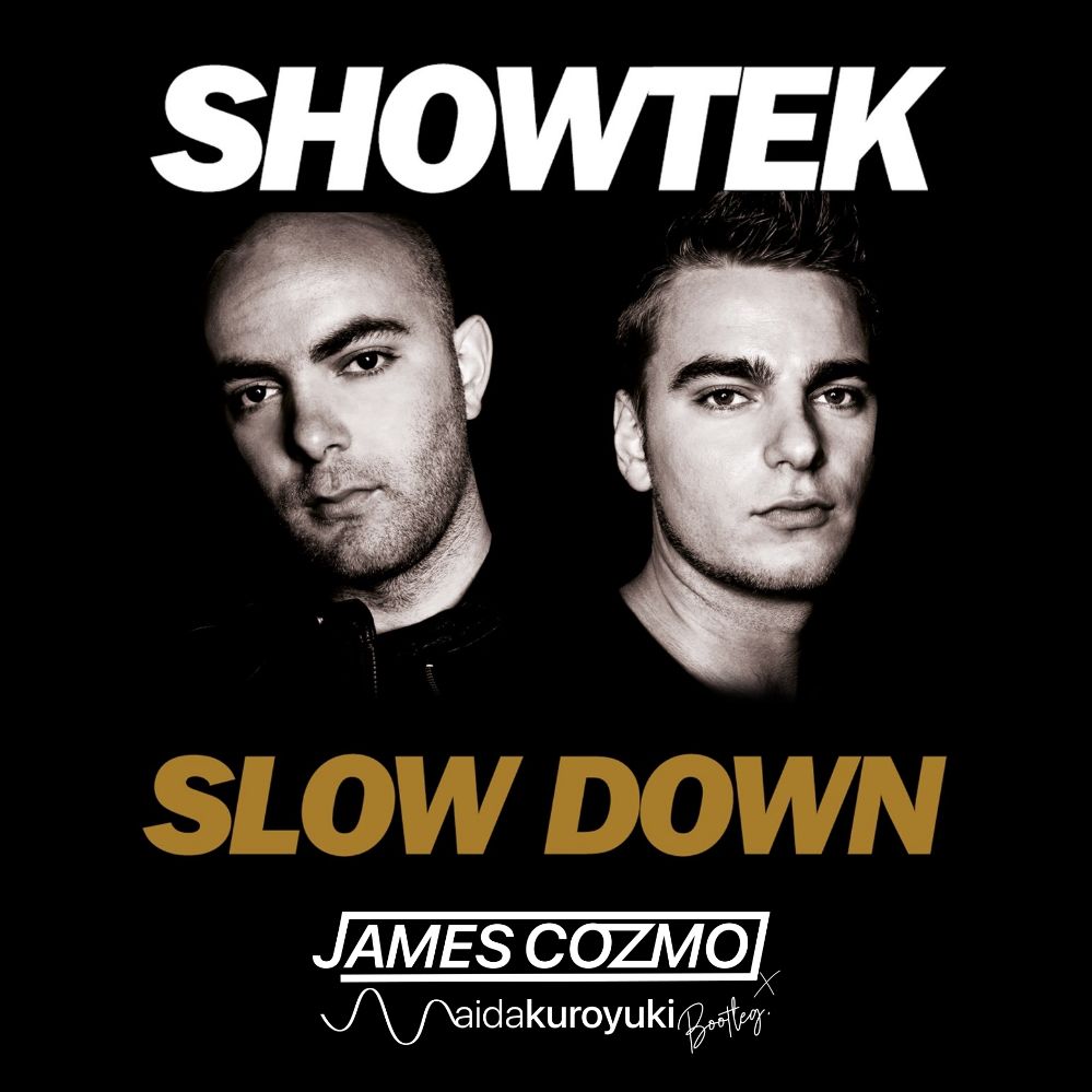 Showtek - Slow Down (James Cozmo & Ayeda Bootleg)