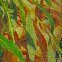 She`s A Ghost (Prod. Baard Mathias Bonsaksen)