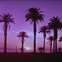 08/16/2024 expansion