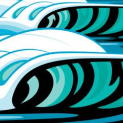 FreeSurf at The Wonderer Charleston  071425