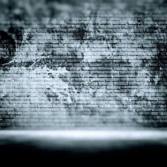The WALL