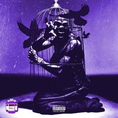 Travis Scott - SDP Interlude (JENS MØRK REMIX)