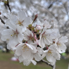 LIFE (Prod. Pieper Beats)