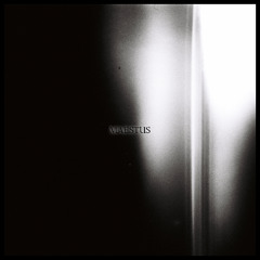 MAESTUS